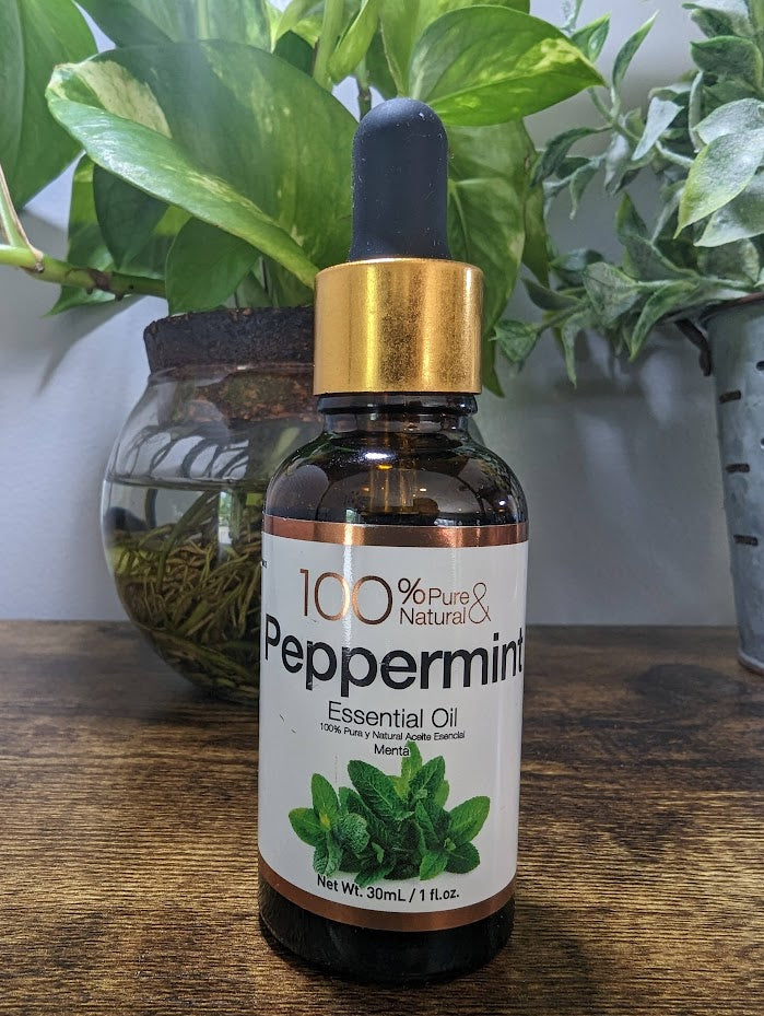 Peppermint Essential Oil 1 fl oz