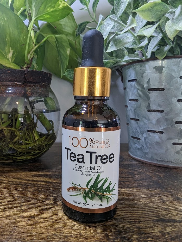 Tea Tree Essential Oil 1 fl oz