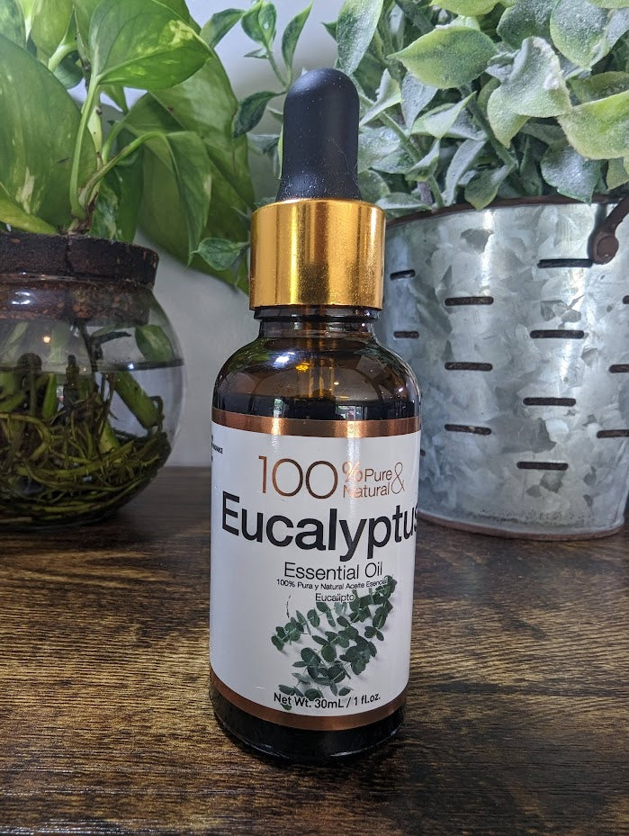 Eucalyptus Essential Oil  1 fl oz